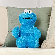 Cookie Monster 12 In