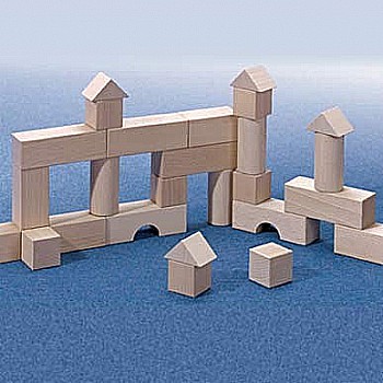 Basic Building Blocks Starter (60 pc Set)