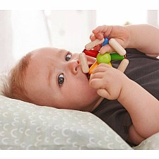 Color Carousel Baby Rattle