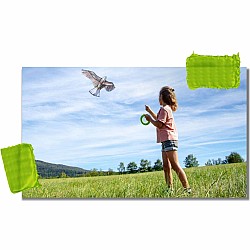 Terra Kids Bald Eagle Kite