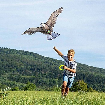 Terra Kids Bald Eagle Kite