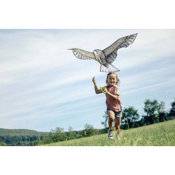 Terra Kids Bald Eagle Kite