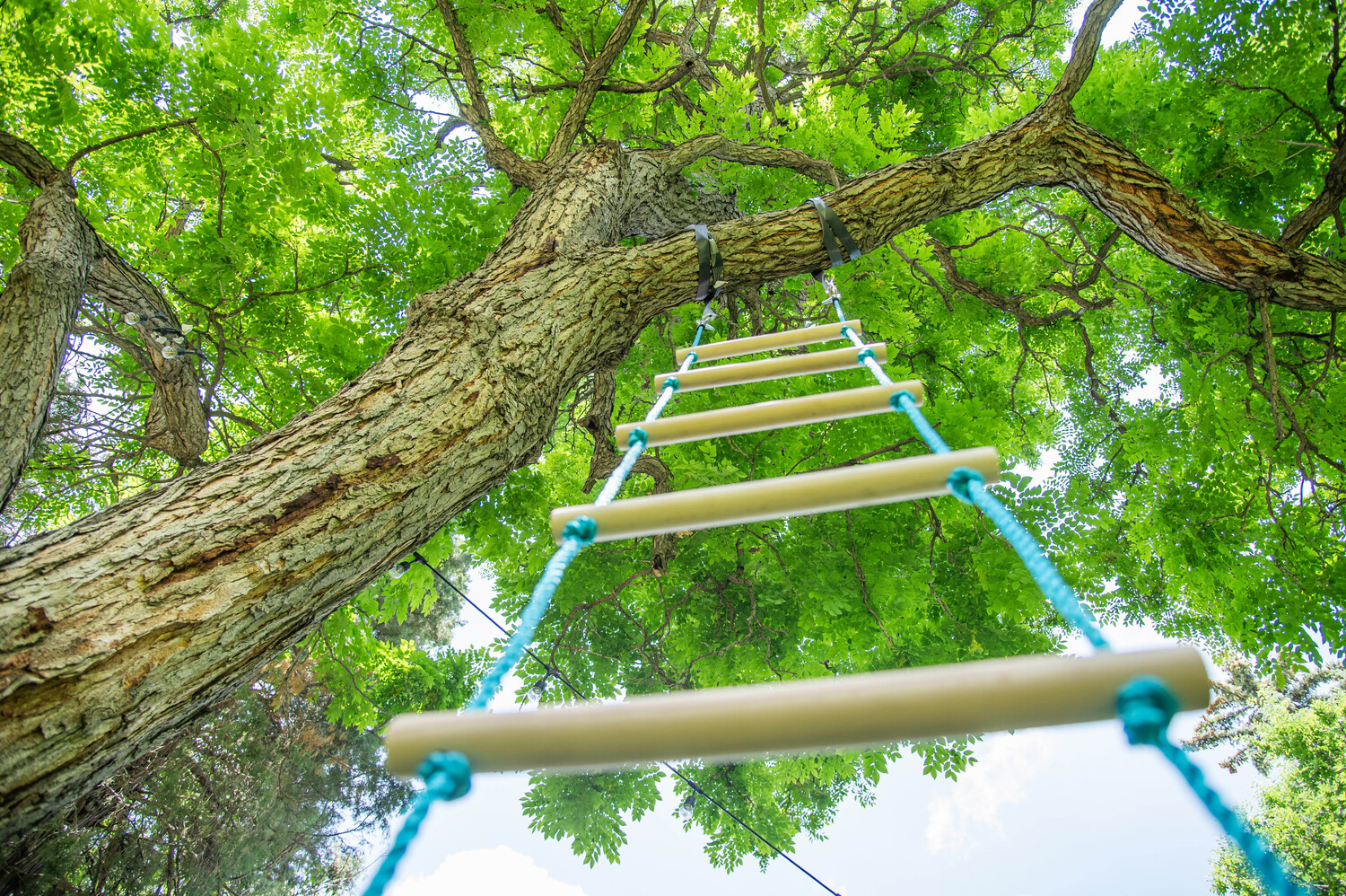 Climbing Rope Ladder 7ft