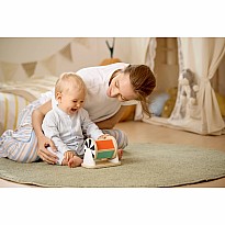 Spinning Drum with Mirror