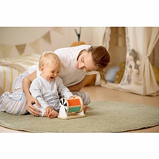 Spinning Drum with Mirror