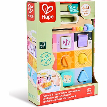 Explore and Learn Sensory Play Board