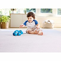 William® Pull-Along Toy