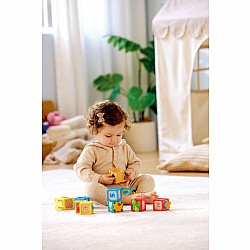 Delightful Discovery Blocks