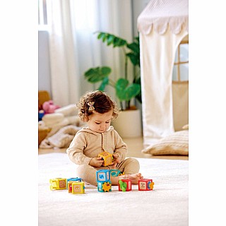 Delightful Discovery Blocks