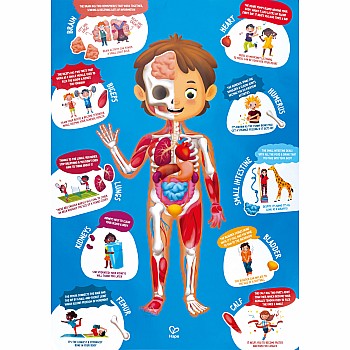 Hape "Human Body" (60 Pc Floor Puzzle)