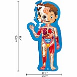 Human Body Puzzle