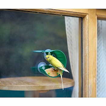 Window Bird Feeder