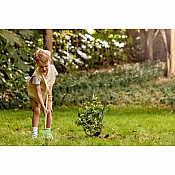 Lawn Rake