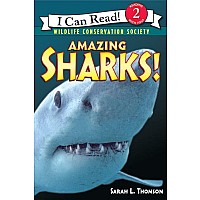 Amazing Sharks!