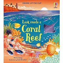 Look inside a Coral Reef