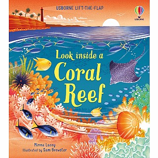 Look inside a Coral Reef