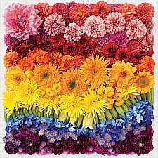 Rainbow Summer Flowers 500 Piece Puzzle