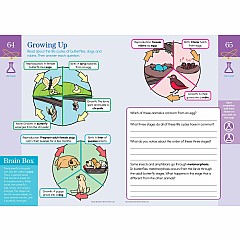 Summer Brain Quest: Between Grades 2 & 3