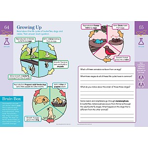 Summer Brain Quest: Between Grades 2 & 3