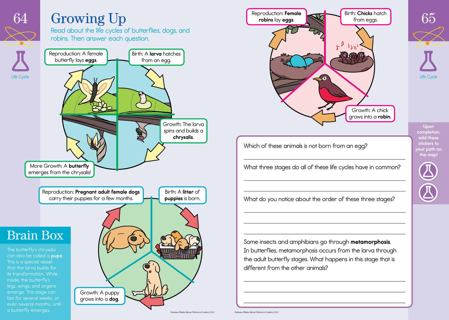 Summer Brain Quest: Between Grades 2 & 3