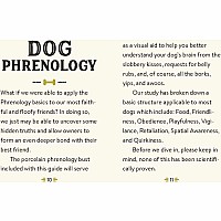 Phrenology Dog: Read Your Dog's Mind!