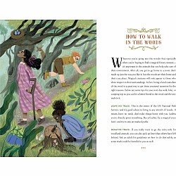 How to Spot a Magical Woodland Creature: A Field Guide to Enchanted Forest Animals