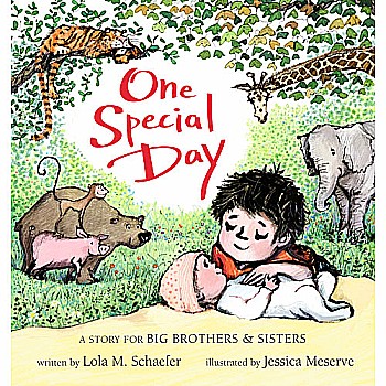 One Special Day: A Story for Big Brothers and Sisters