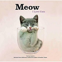 Meow: I Love Cats