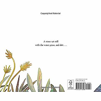 A Stone Sat Still: (Environmental and Nature Picture Book for Kids, Perspective Book for Preschool and Kindergarten, Award Winn