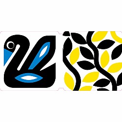 Spring Street Tummy Time: Baby’s First Book in Color