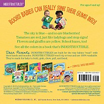 Indestructibles: Baby, See the Colors!: Chew Proof · Rip Proof · Nontoxic · 100% Washable (Book for Babies, Newborn Books, Safe