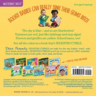 Indestructibles: Baby, See the Colors!: Chew Proof · Rip Proof · Nontoxic · 100% Washable (Book for Babies, Newborn Books, Safe