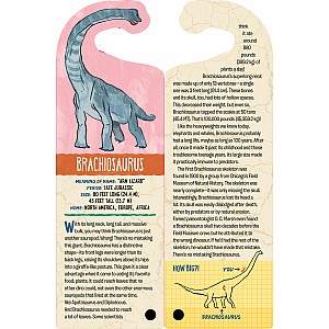 Fandex Kids: Dinosaurs: Facts That Fit in Your Hand: 48 Amazing Dinosaurs Inside!