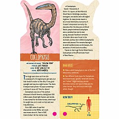 Fandex Kids: Dinosaurs: Facts That Fit in Your Hand: 48 Amazing Dinosaurs Inside!