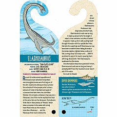 Fandex Kids: Dinosaurs: Facts That Fit in Your Hand: 48 Amazing Dinosaurs Inside!