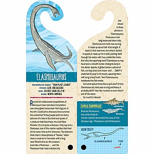 Fandex Kids: Dinosaurs: Facts That Fit in Your Hand: 48 Amazing Dinosaurs Inside!
