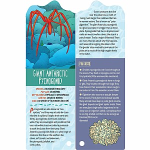 Fandex Kids: Ocean: Facts That Fit in Your Hand: 49 Sea Creatures Inside!