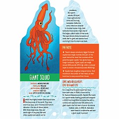 Fandex Kids: Ocean: Facts That Fit in Your Hand: 49 Sea Creatures Inside!