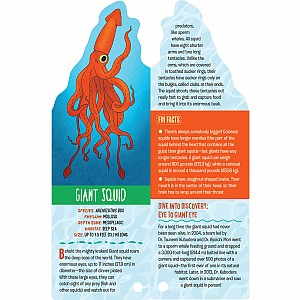 Fandex Kids: Ocean: Facts That Fit in Your Hand: 49 Sea Creatures Inside!