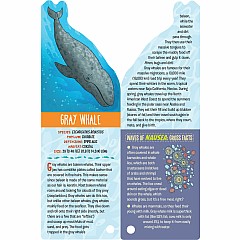Fandex Kids: Ocean: Facts That Fit in Your Hand: 49 Sea Creatures Inside!