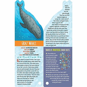 Fandex Kids: Ocean: Facts That Fit in Your Hand: 49 Sea Creatures Inside!