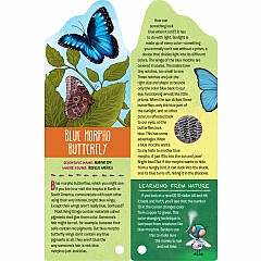 Fandex Kids: Bugs: Facts That Fit in Your Hand: 49 Incredible Insects, Spiders & More!