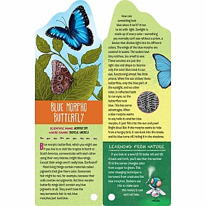 Fandex Kids: Bugs: Facts That Fit in Your Hand: 49 Incredible Insects, Spiders & More!