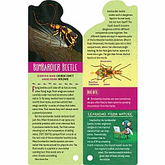 Fandex Kids: Bugs: Facts That Fit in Your Hand: 49 Incredible Insects, Spiders & More!