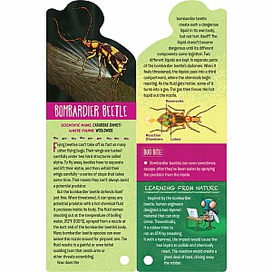 Fandex Kids: Bugs: Facts That Fit in Your Hand: 49 Incredible Insects, Spiders & More!