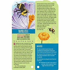 Fandex Kids: Bugs: Facts That Fit in Your Hand: 49 Incredible Insects, Spiders & More!