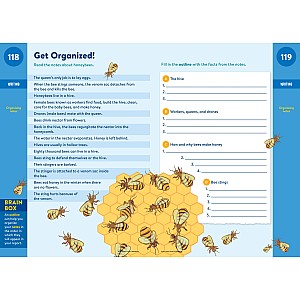Brain Quest Workbook: 5th Grade Revised Edition