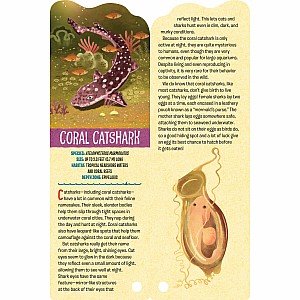 Fandex Kids: Sharks: Facts That Fit in Your Hand: 51 Sharks, Prehistoric Predators, and More Inside!