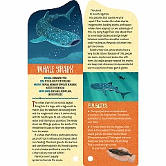 Fandex Kids: Sharks: Facts That Fit in Your Hand: 51 Sharks, Prehistoric Predators, and More Inside!