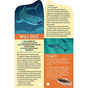 Fandex Kids: Sharks: Facts That Fit in Your Hand: 51 Sharks, Prehistoric Predators, and More Inside!